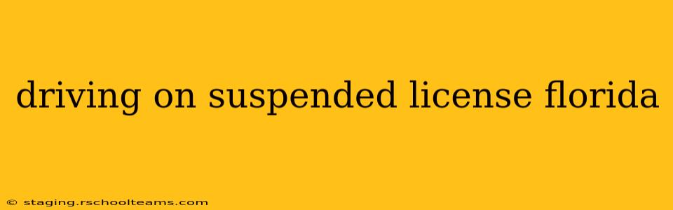 driving on suspended license florida