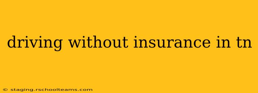 driving without insurance in tn