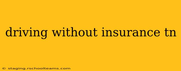 driving without insurance tn