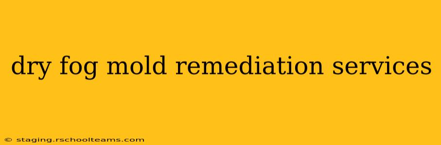 dry fog mold remediation services