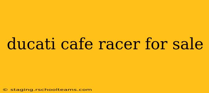 ducati cafe racer for sale