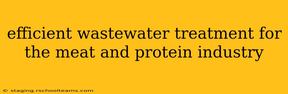 efficient wastewater treatment for the meat and protein industry