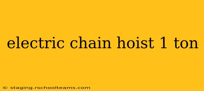 electric chain hoist 1 ton