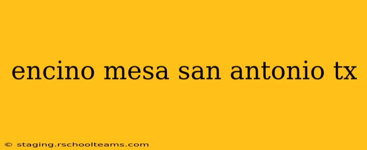 encino mesa san antonio tx