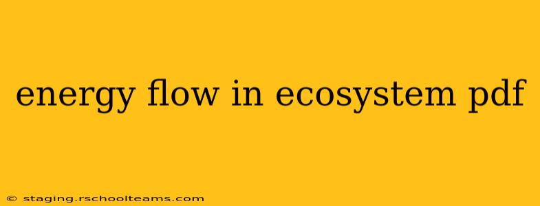 energy flow in ecosystem pdf