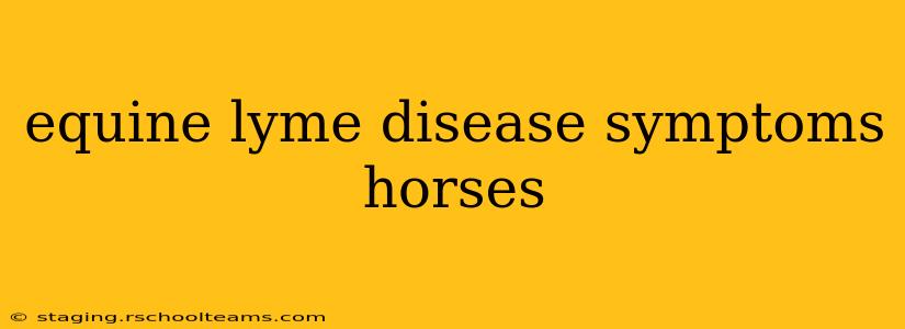equine lyme disease symptoms horses