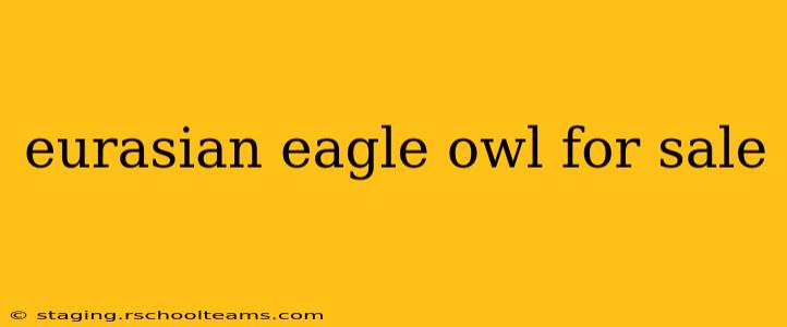 eurasian eagle owl for sale