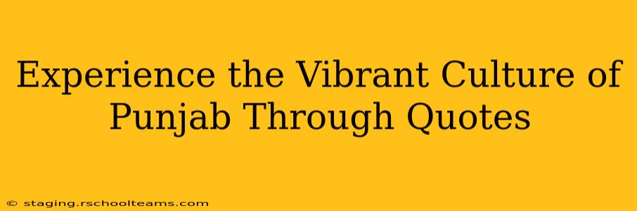 Experience the Vibrant Culture of Punjab Through Quotes