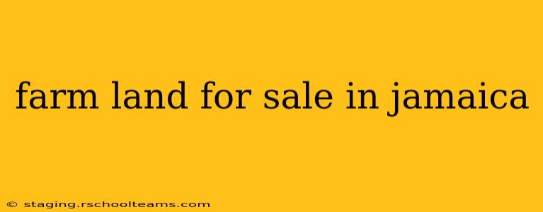 farm land for sale in jamaica