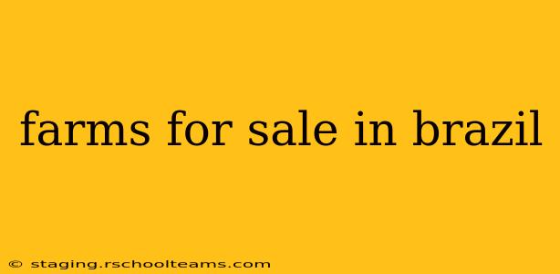 farms for sale in brazil