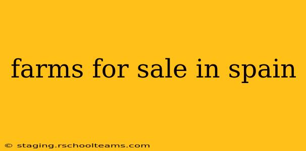 farms for sale in spain