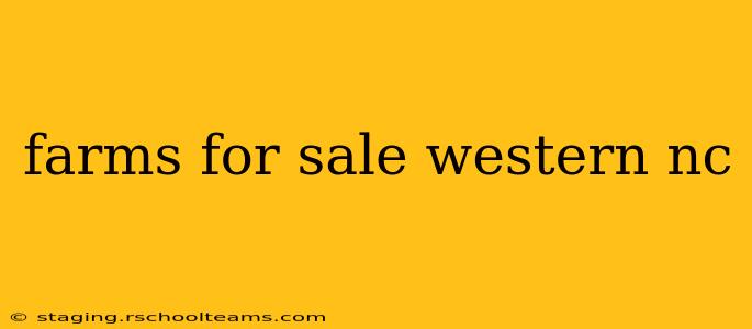 farms for sale western nc