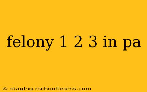 felony 1 2 3 in pa