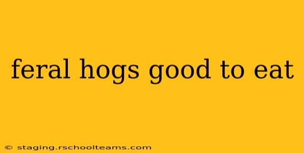 feral hogs good to eat