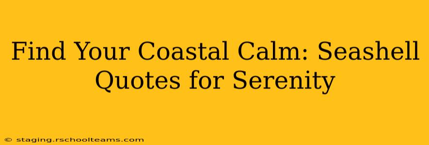 Find Your Coastal Calm: Seashell Quotes for Serenity