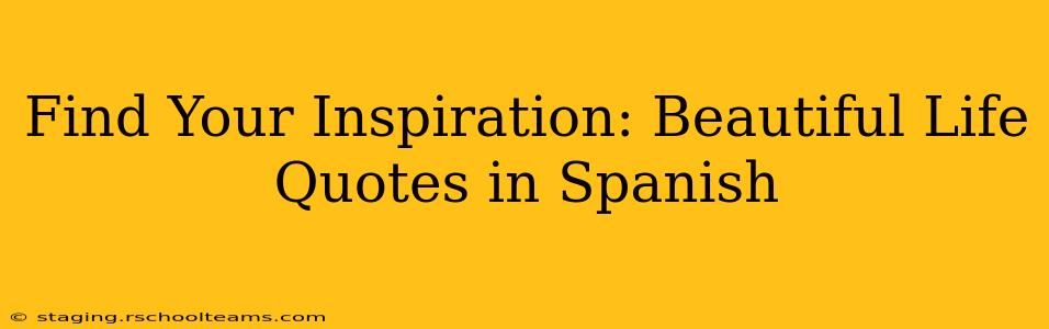 Find Your Inspiration: Beautiful Life Quotes in Spanish