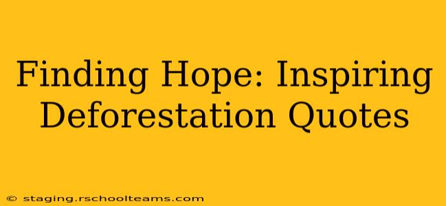Finding Hope: Inspiring Deforestation Quotes