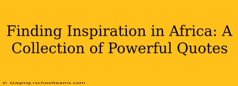 Finding Inspiration in Africa: A Collection of Powerful Quotes