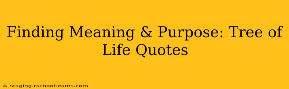 Finding Meaning & Purpose: Tree of Life Quotes