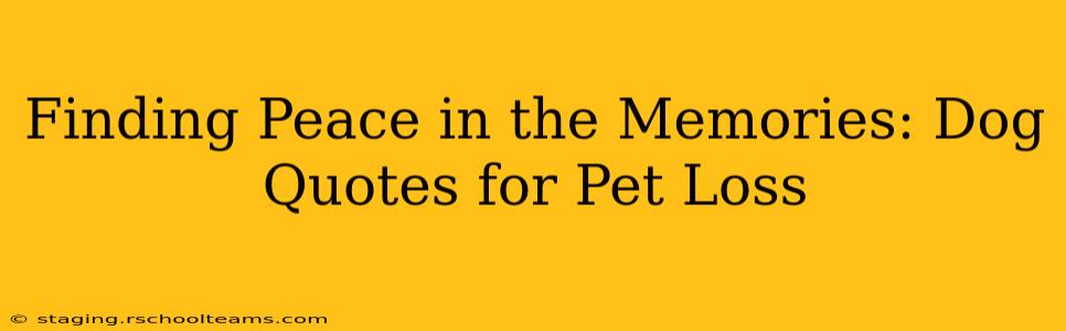 Finding Peace in the Memories: Dog Quotes for Pet Loss