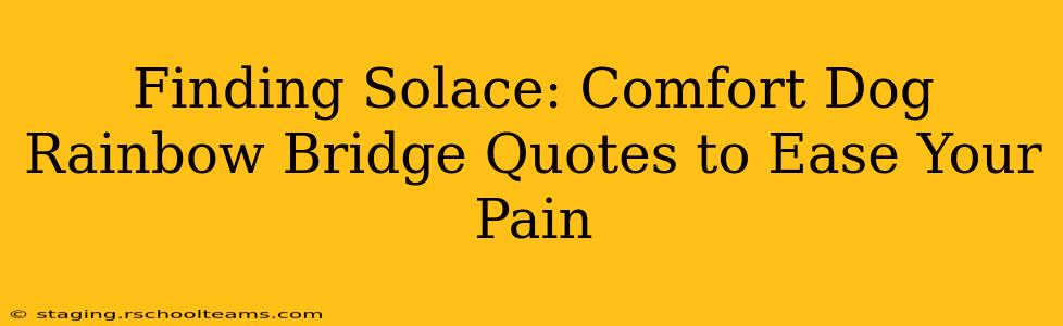 Finding Solace: Comfort Dog Rainbow Bridge Quotes to Ease Your Pain
