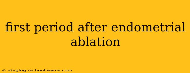 first period after endometrial ablation