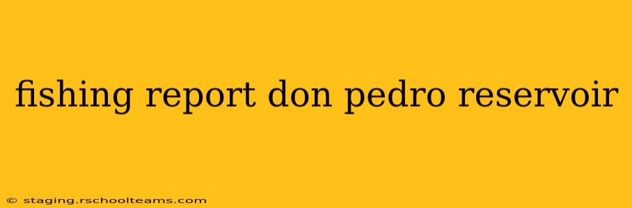 fishing report don pedro reservoir