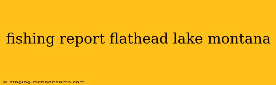fishing report flathead lake montana