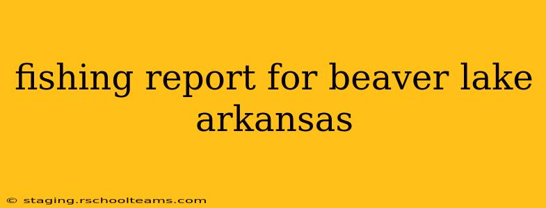 fishing report for beaver lake arkansas