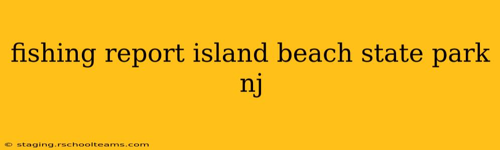 fishing report island beach state park nj