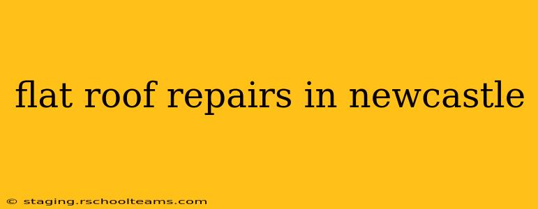 flat roof repairs in newcastle