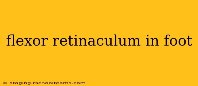 flexor retinaculum in foot