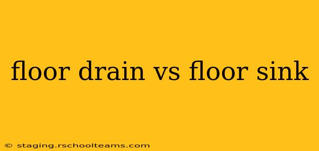floor drain vs floor sink