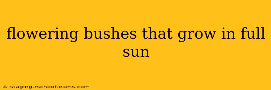 flowering bushes that grow in full sun