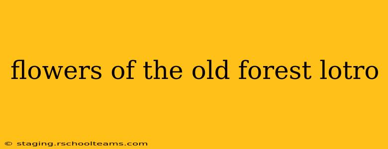 flowers of the old forest lotro