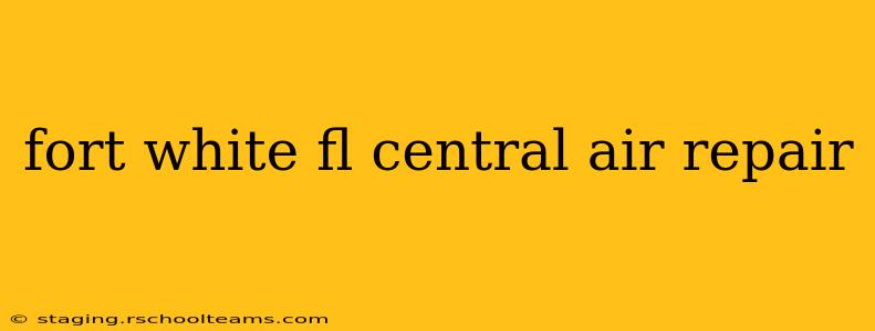 fort white fl central air repair