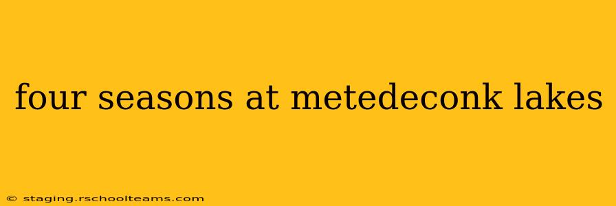 four seasons at metedeconk lakes