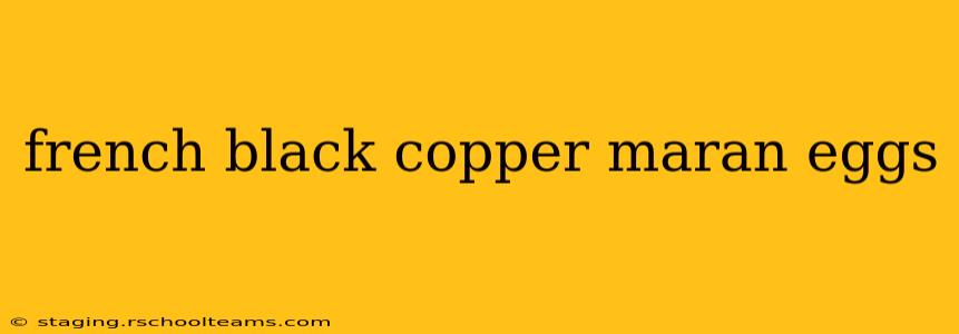 french black copper maran eggs