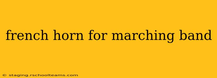 french horn for marching band