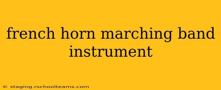 french horn marching band instrument