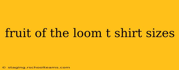 fruit of the loom t shirt sizes