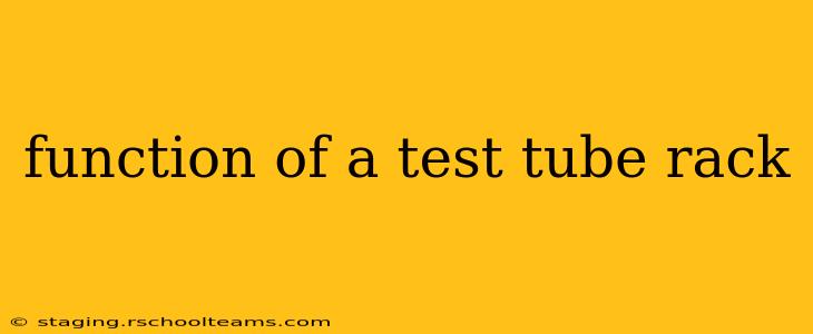 function of a test tube rack