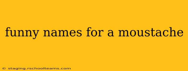funny names for a moustache