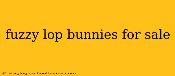 fuzzy lop bunnies for sale