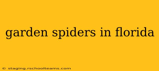 garden spiders in florida