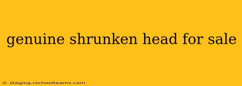 genuine shrunken head for sale