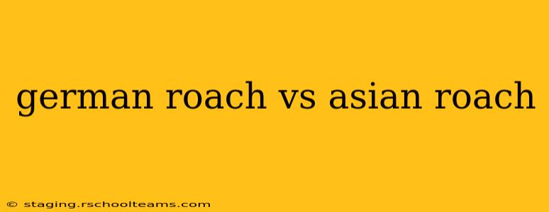 german roach vs asian roach
