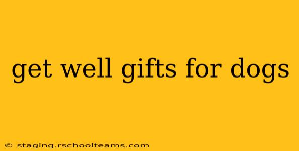 get well gifts for dogs