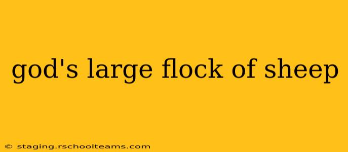 god's large flock of sheep