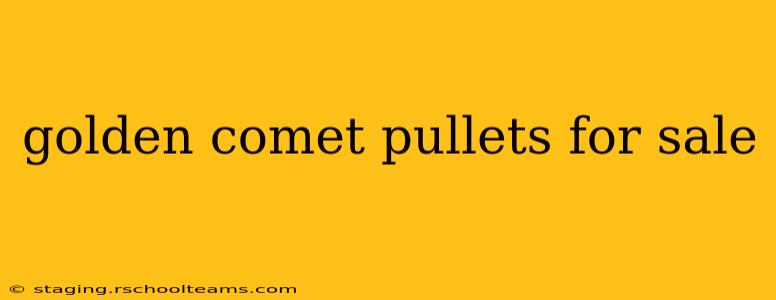 golden comet pullets for sale